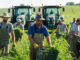 Fruit Picker Farm Worker Food Packing Jobs In Poland