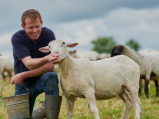 Farm Workers Jobs in Australia Career Guide