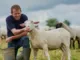 Farm Workers Jobs in Australia Career Guide