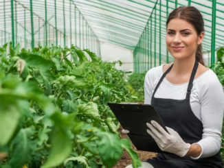 Seasonal Farm Work Across the World