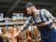Dairy Farming Jobs in Canada Complete Guide