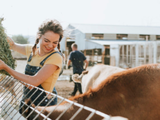 Skilled Jobs in Germany's Livestock Industry Work & Visa