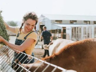 Skilled Jobs in Germany's Livestock Industry Work & Visa