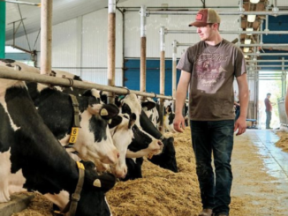 Dairy Farm Employment Opportunities in Canada