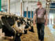 Dairy Farm Employment Opportunities in Canada