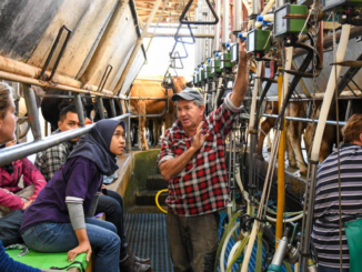 Dairy Farm Employment Opportunities in Australia