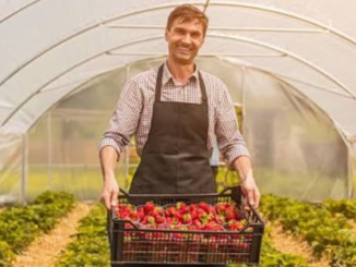 Canada Farm Worker Visa Requirements & How to Apply