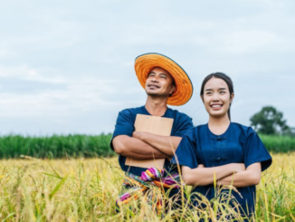 Farm Worker Salary and Pay Rates in Japan