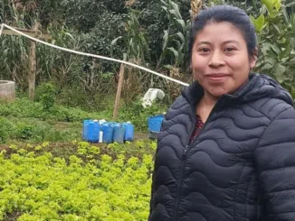 Farm Worker Salary and Pay Rates in Canada