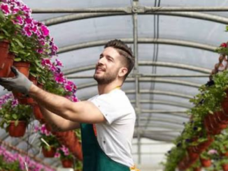 Farm Worker Jobs in Poland