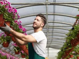 Farm Worker Jobs in Poland