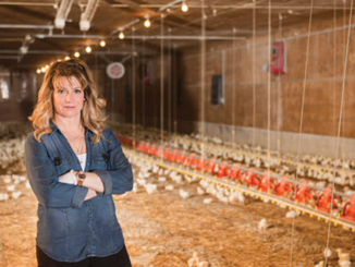 Poultry Farm Worker near Hamilton (ON) Poultry jobs in Canada