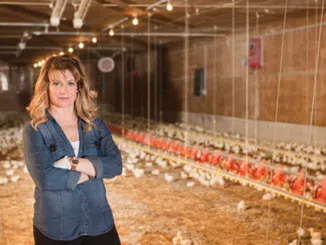 Poultry Farm Worker near Hamilton (ON) Poultry jobs in Canada