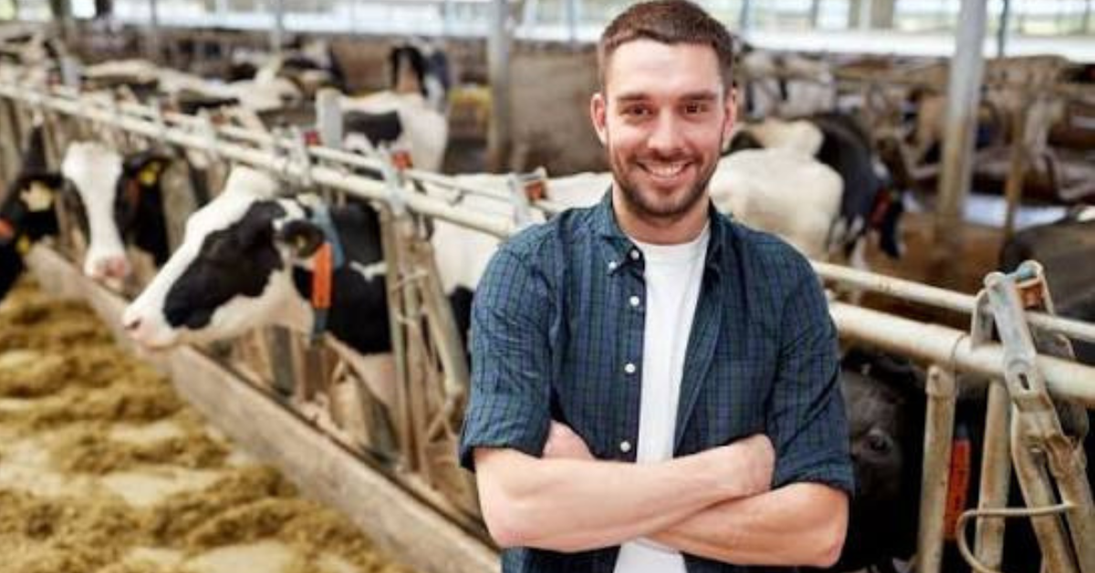 Farm Worker Jobs in Denmark Pay Visa and Application Process